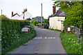 North Devon : Country Lane