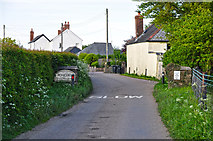 SS8422 : North Devon : Country Lane by Lewis Clarke