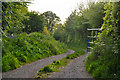 North Devon : Shapcott Lane