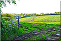 North Devon : Grassy Field