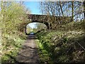 Cycle path near Gaidrew