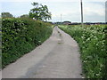 Driveway to Dongray Hall