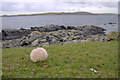 HU4549 : Sea urchin shell, south side of Lambgarth Head, Wadbister Ness by Mike Pennington