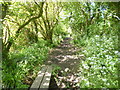 Woodgate, footpath