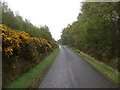 Country road towards Birichen