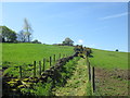 Footpath towards Hill Top from Beckside