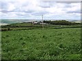 Grass field near Tregurtha Farm, looking towards St Wenn