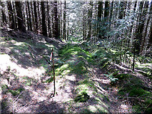 SN7792 : Remains of forestry track on Mynydd Bychan by John Lucas