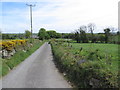 View east along an access lane linking Carrickgallogly Road and Carrickananny Road