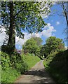 Byway from Newton Ferrers