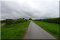 On Fallow Lane, looking towards Foston