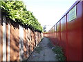 Path behind Tellson Avenue, Shooters Hill