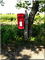 TM4687 : Red House Farm Postbox by Geographer