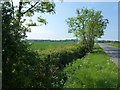 Ely Way near Haddenham