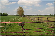 SE6908 : Gated track and paddocks next to Stainforth Moor Road by Chris