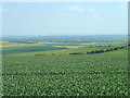 View towards Didcot