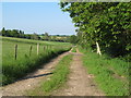 Track near Rye Fenn