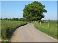 Road to Daws Cross, Bures Hamlet