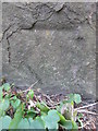 Ordnance Survey Cut Mark