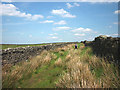 Footpath between walls near Great Hill Farm