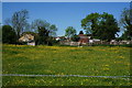 Field on the outskirts of Maltby