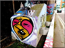 J3473 : Belfast - City Centre - Graffiti Face along Lanyon Place by Suzanne Mischyshyn