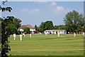 The Cricket Match