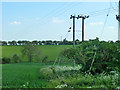 SP3312 : Power lines west of Crawley by Robin Webster