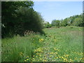 Bridleway, Upper Minety