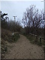 Path towards Formby Point