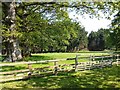 Field and trees at Downs Mill Farm