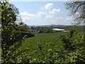 Halberton and farmland from the canal bank