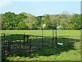 Sheep pens near Dean