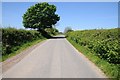 SS5592 : Road near Wimblewood ganol by Philip Halling