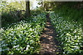 Path to Maryknowle Farm