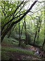 Stream in Kiln Wood