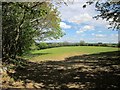 Field near St Ive Cross