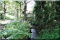 Carr Beck near Greengates