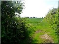 Path at the edge of Upper Stonyhills Wood