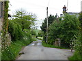 Barrel Lane at Luxtree farm