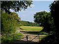 Farmland near Ponsbourne Park