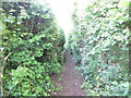 Path to Clyst St Mary