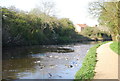 Rubbish in the canal