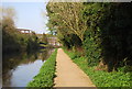 Grand Union Canal Walk