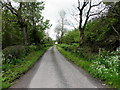 Drumragh Road, Tattyreagh Glebe