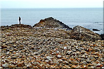 C9444 : County Antrim - Giant's Causeway - Grand Causeway enters North Channel by Suzanne Mischyshyn