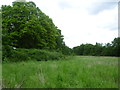 Field next to Horton Lane