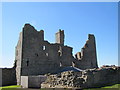 NU2521 : Dunstanburgh Castle by N Chadwick
