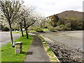 The West Looe River by the Car Park