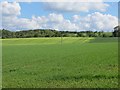 NT0475 : Arable fields, Gateshead by Richard Webb